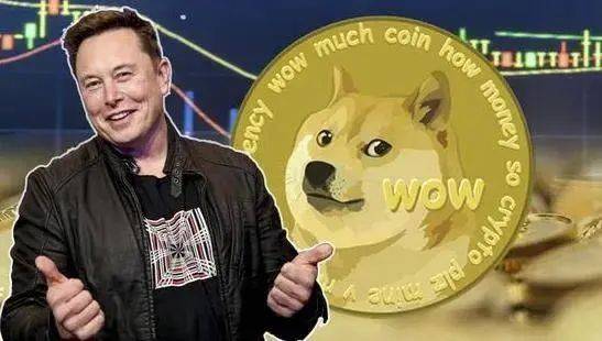 是什么让Meme币（DOGE、SHIB）在加密市场中如此受欢迎？其价值和未来会如何？
