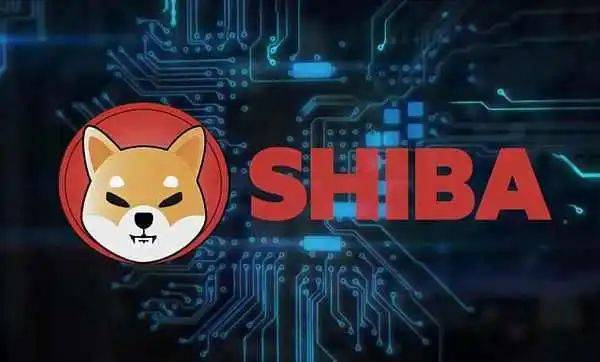 是什么让Meme币（DOGE、SHIB）在加密市场中如此受欢迎？其价值和未来会如何？