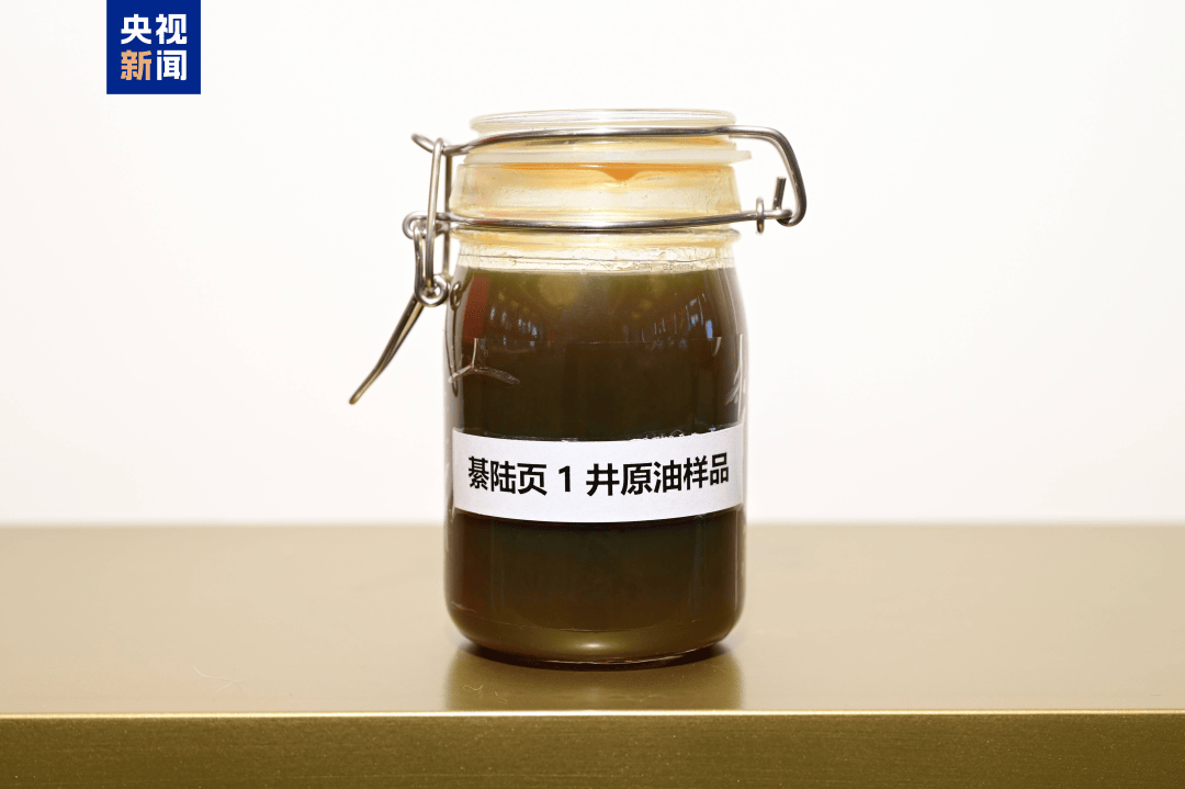 我国发现亿吨级页岩油资源!