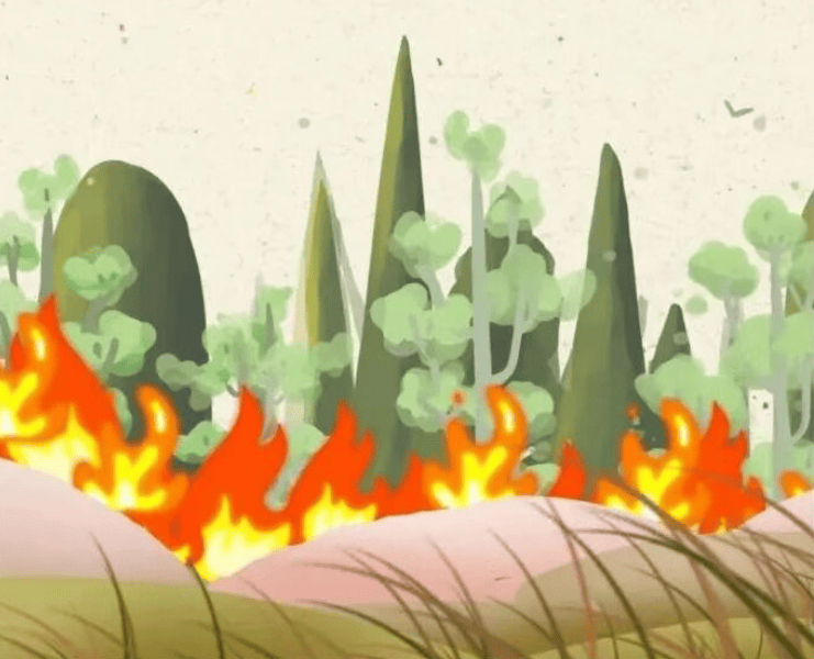 森林防火正当时，防火指南要牢记！
