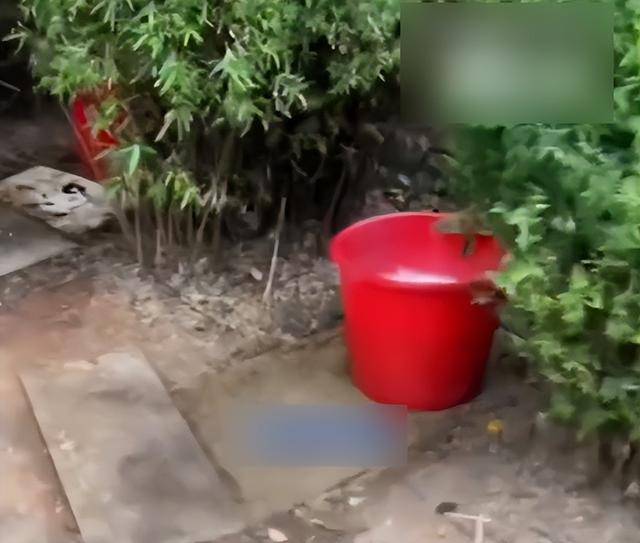 九江一公园摆3个尿桶供人露天小便,不到百米外就有公厕