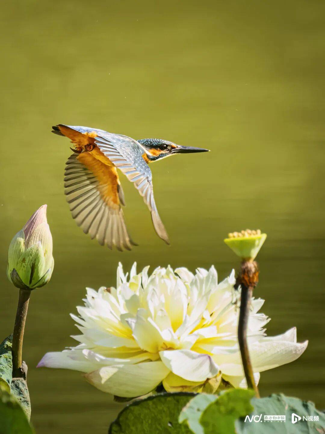 东莞最新发布：将严厉打击这些行为！