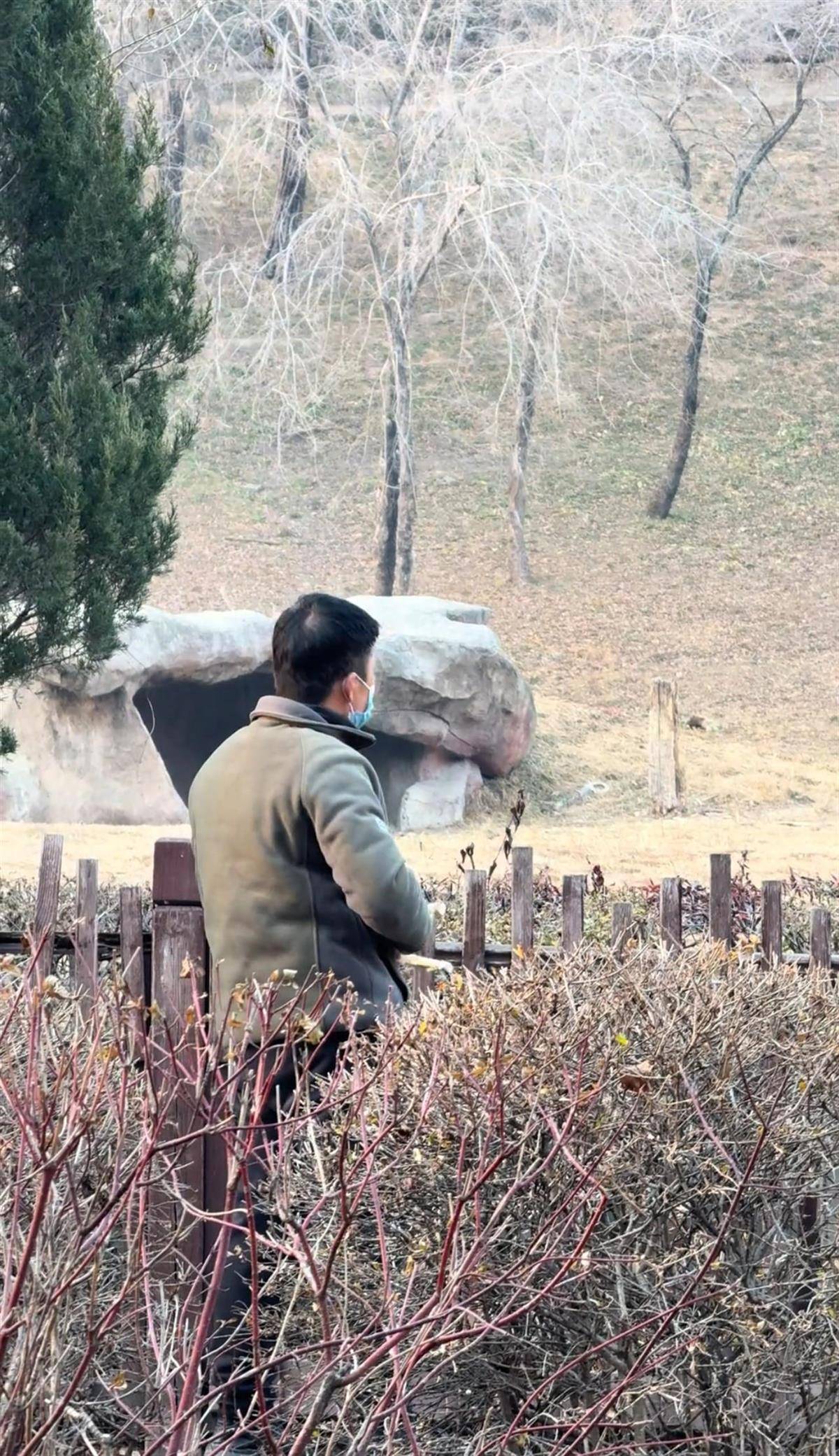 沈阳一男子动物园内用弹弓射老虎,目击者称其“填装了弹丸”,打完后老虎爬起来了,园方:正在核实情况