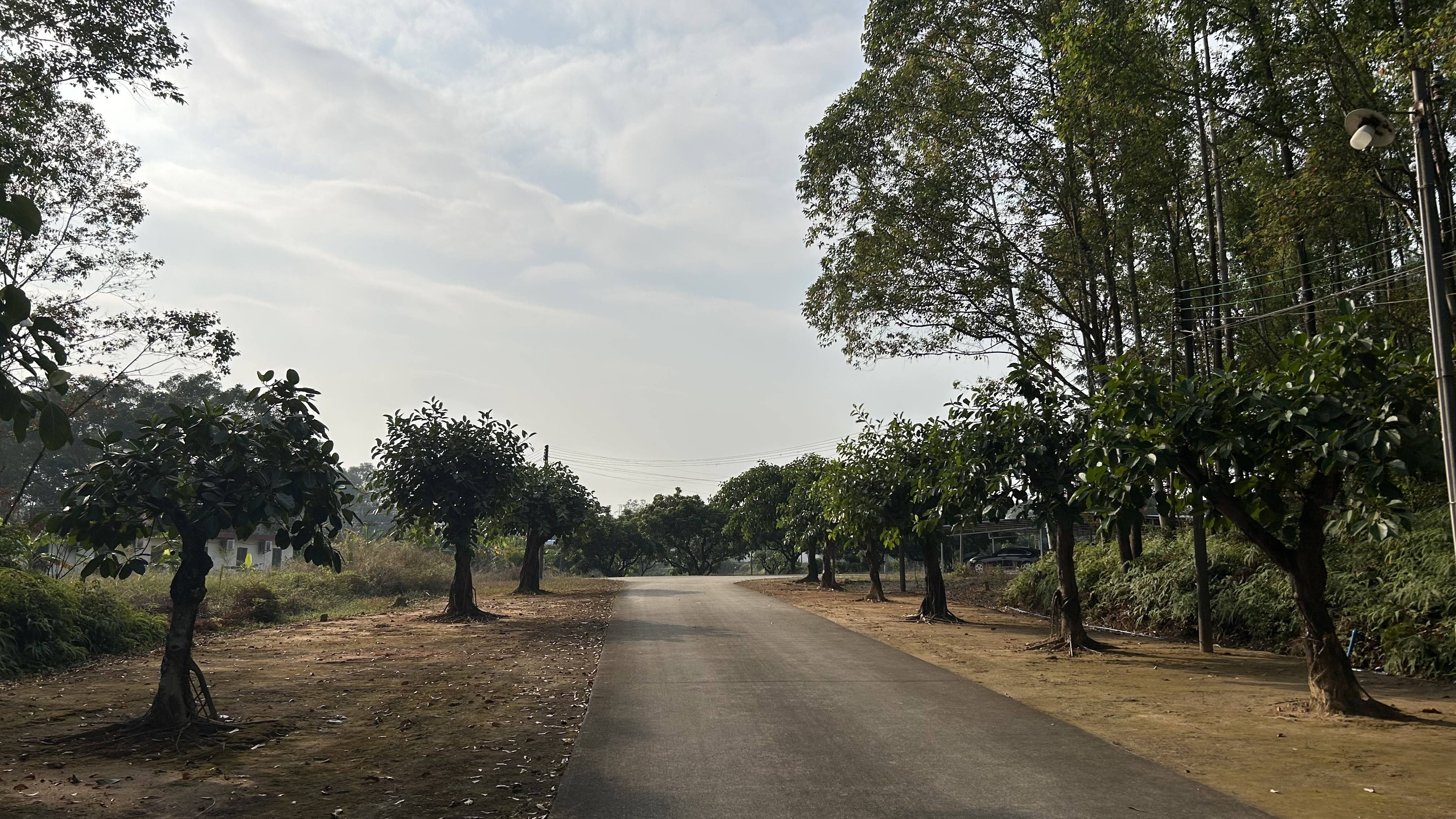有价无猴！实验猴价格暴涨，有猴场明年的猴都被订光，繁殖率已跟不上｜调查