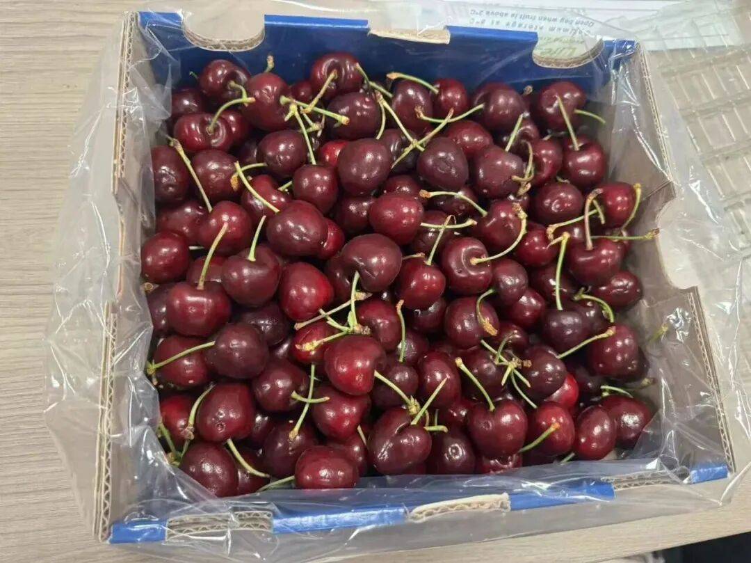 1700元降至500元！“年货顶流”价格大跳水，预计还要降……