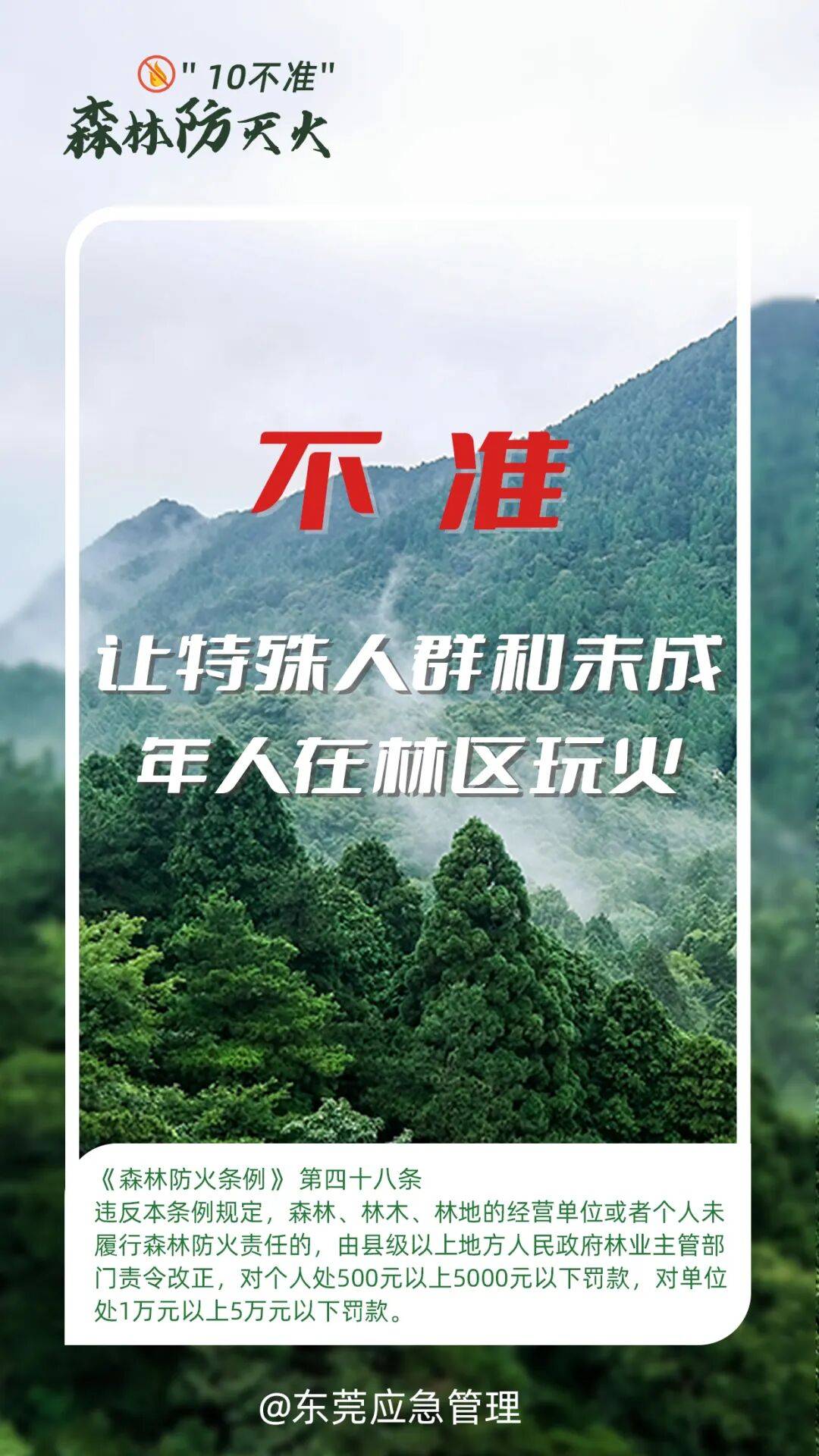 深圳坪山区突发山火，最新通报：明火已扑灭，无人员伤亡