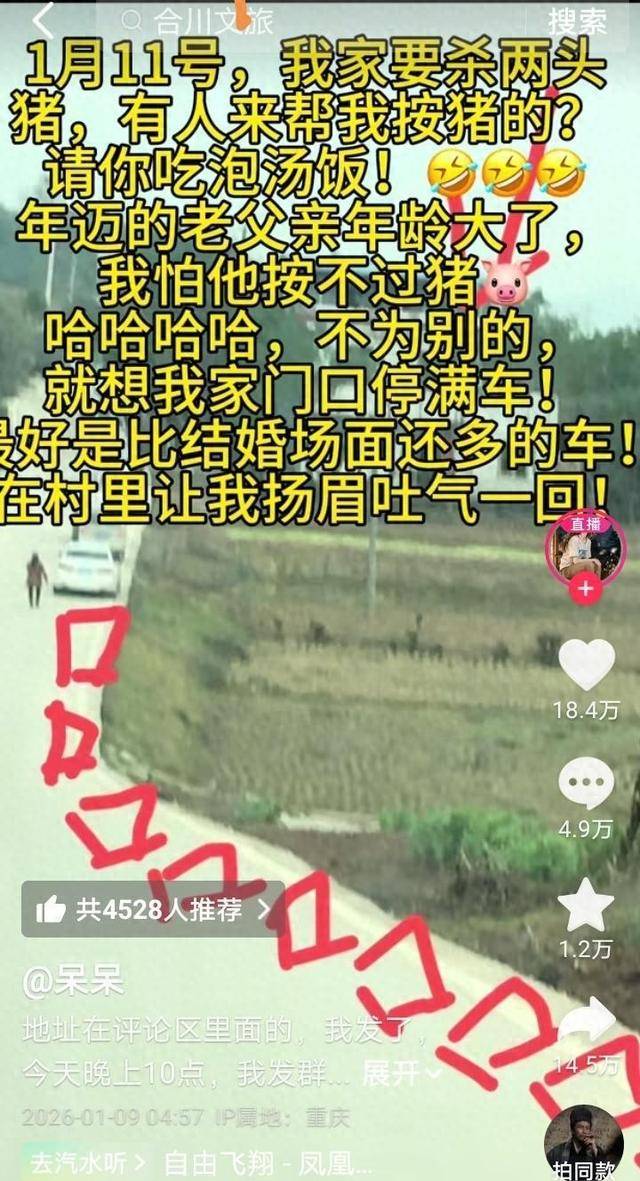 重庆合川请大家吃杀猪饭的女子三天涨粉超56万，当地文旅连夜召开复盘会