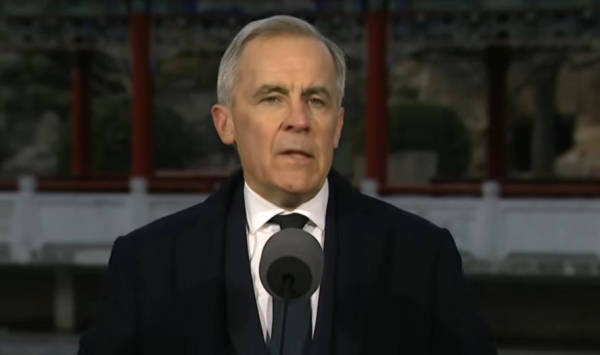 台北代表跳出来:中方不是加拿大解药,看看我们吧